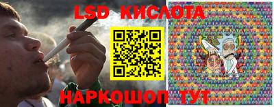 прущие крисы Новозыбков