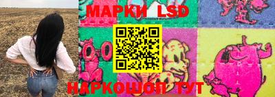 прущие крисы Новозыбков