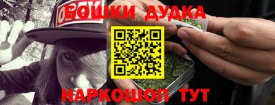 прущие крисы Новозыбков