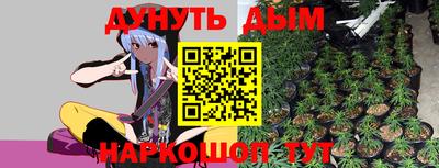 прущие крисы Новозыбков