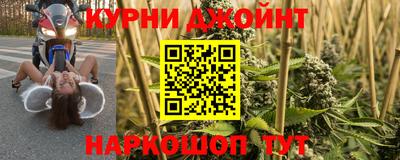сатива Новокубанск